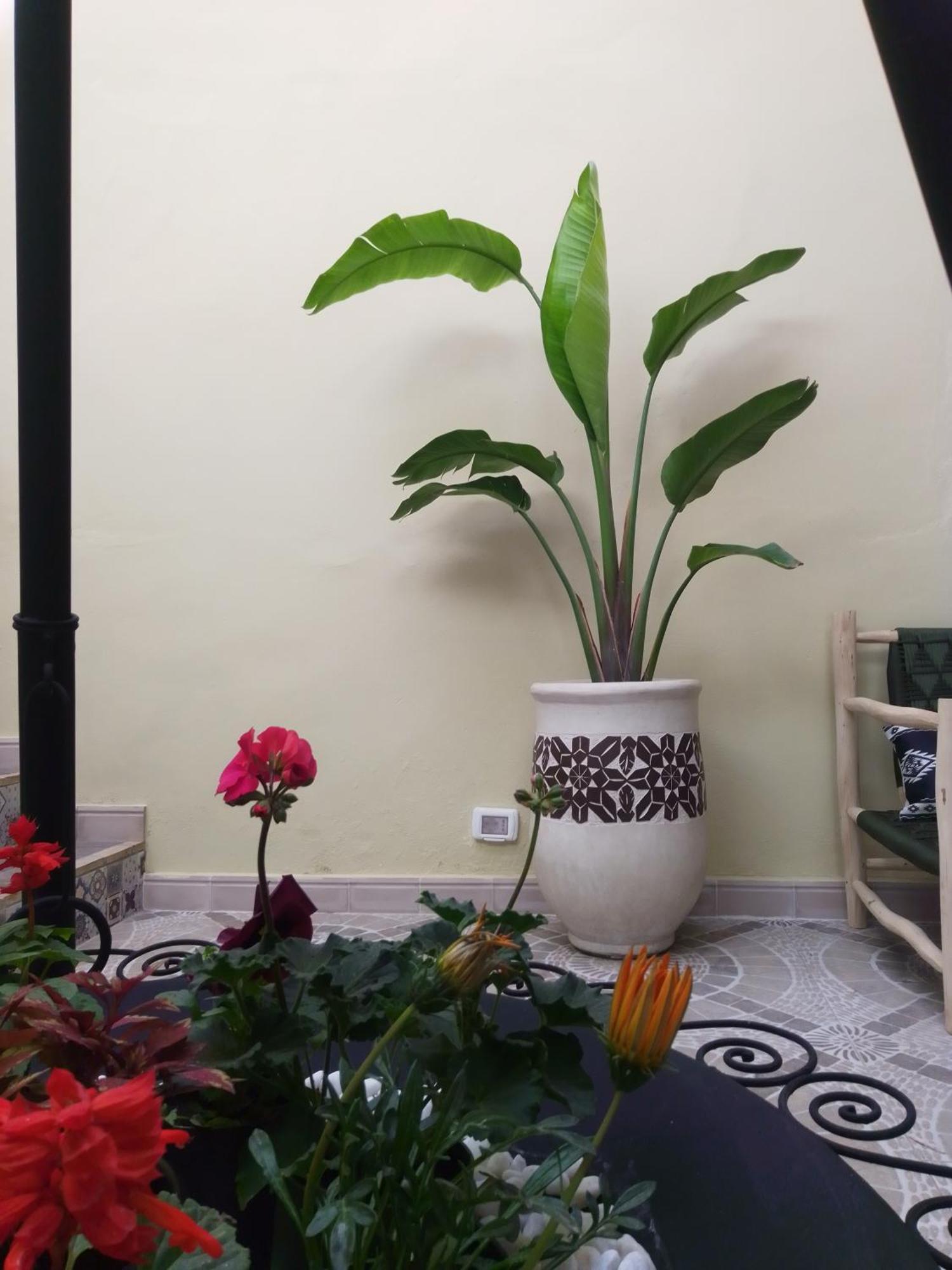 Riad Bouganville Bleu Marrakesh Luaran gambar